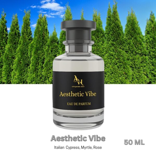 Aesthetic Vibe (Inspired by Wanted)