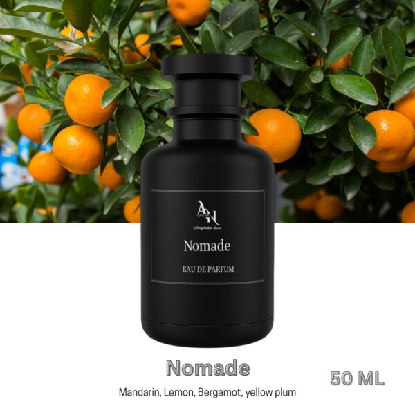 Nomade (Inspired by L V)